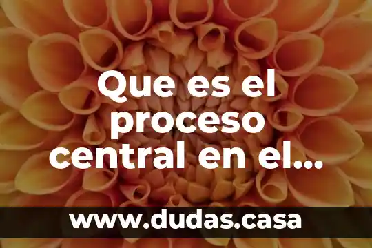 Que es el proceso central en el funcionalismo