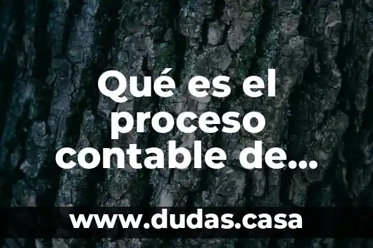 Qué es el proceso contable de una empresa