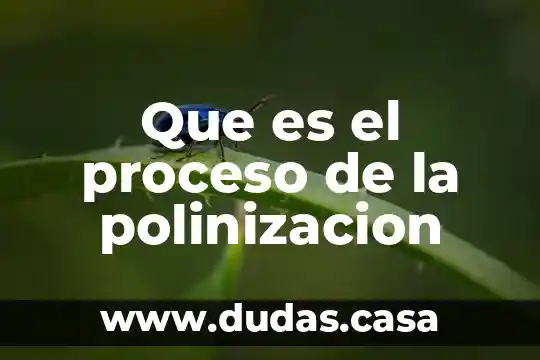 Que es el proceso de la polinizacion