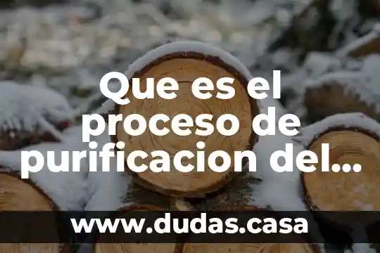 Que es el proceso de purificacion del agua embotellada