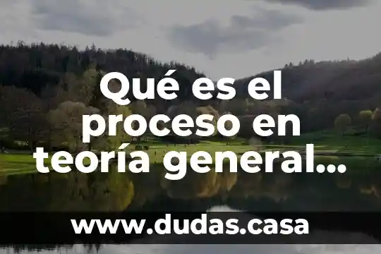 Qué es el proceso en teoría general del proceso