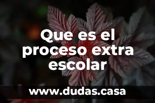 Que es el proceso extra escolar