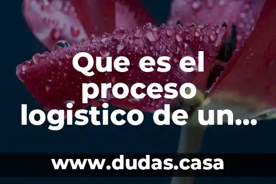 Que es el proceso logistico de un almacen