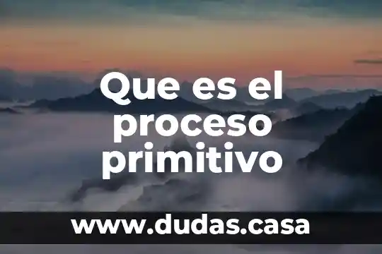 Que es el proceso primitivo