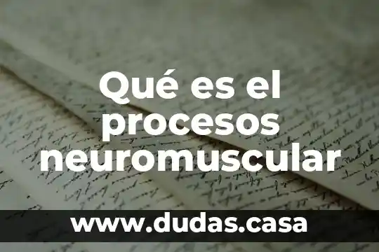 Qué es el procesos neuromuscular