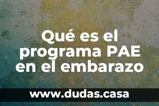Qué es el programa PAE en el embarazo