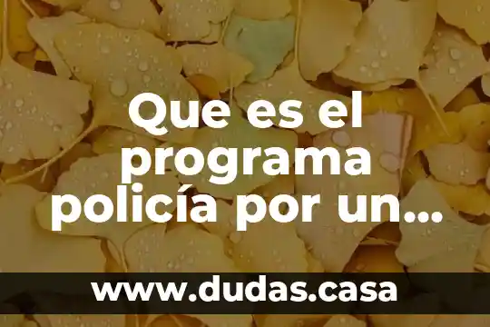 Que es el programa policía por un día
