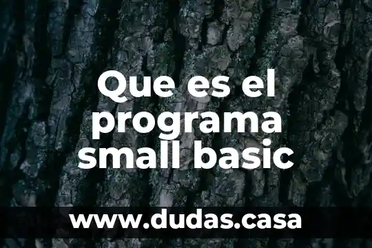 Que es el programa small basic