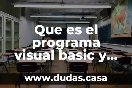 Que es el programa visual basic y como funciona