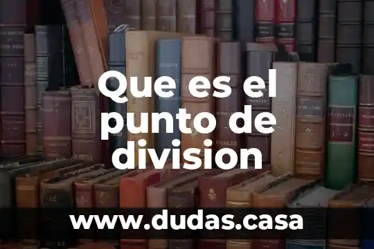 Que es el punto de division