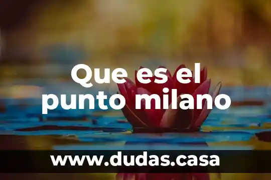 Que es el punto milano