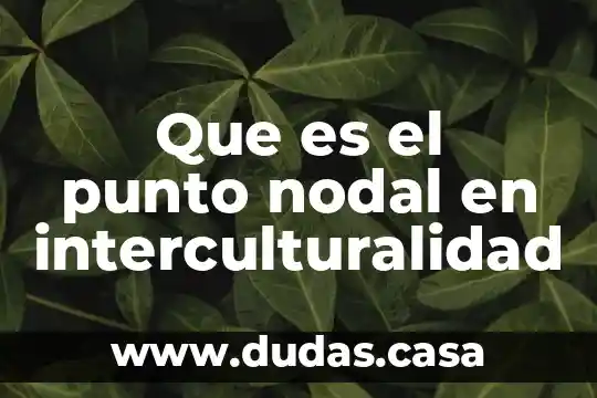 Que es el punto nodal en interculturalidad