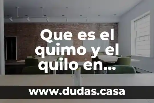 Que es el quimo y el quilo en biologia