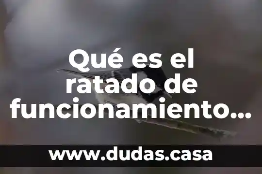 Qué es el ratado de funcionamiento de la UE