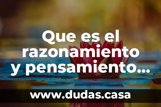 Que es el razonamiento y pensamiento logico