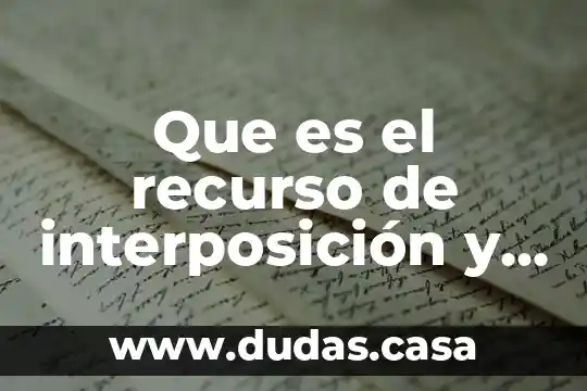 Que es el recurso de interposición y substanciación