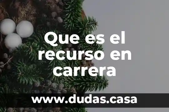 Que es el recurso en carrera