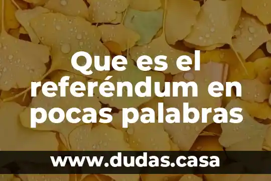 Que es el referéndum en pocas palabras