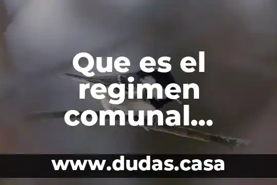 Que es el regimen comunal agrario
