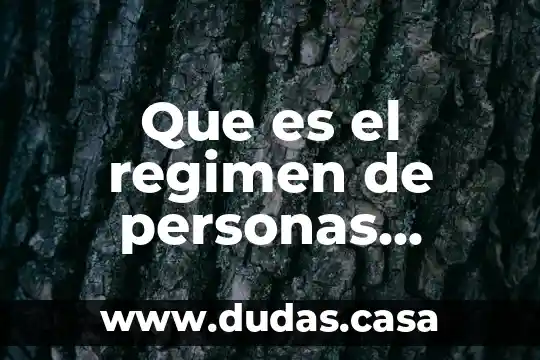 Que es el regimen de personas fisicas con actividad empresarial