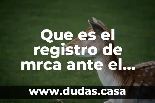 Que es el registro de mrca ante el impi