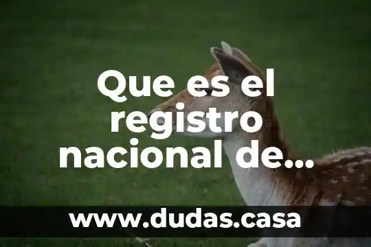 Que es el registro nacional de técnicos en emergencias médicas