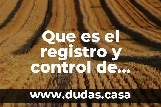 Que es el registro y control de almacen de antes