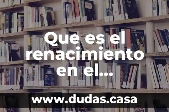 Que es el renacimiento en el panorama de la historia