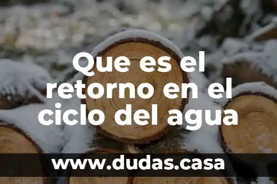 Que es el retorno en el ciclo del agua