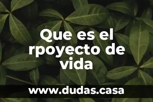 Que es el rpoyecto de vida