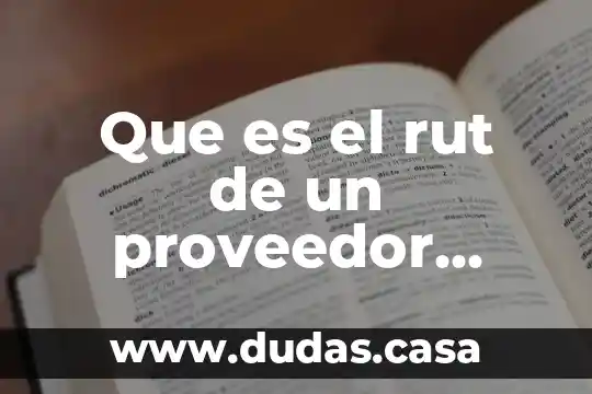 Que es el rut de un proveedor ejemplos