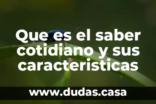 Que es el saber cotidiano y sus caracteristicas