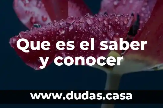 Que es el saber y conocer