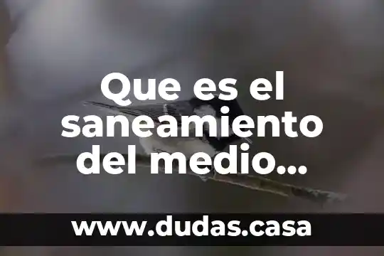 Que es el saneamiento del medio ambiente