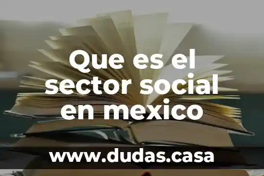 Que es el sector social en mexico