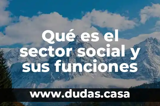 Qué es el sector social y sus funciones