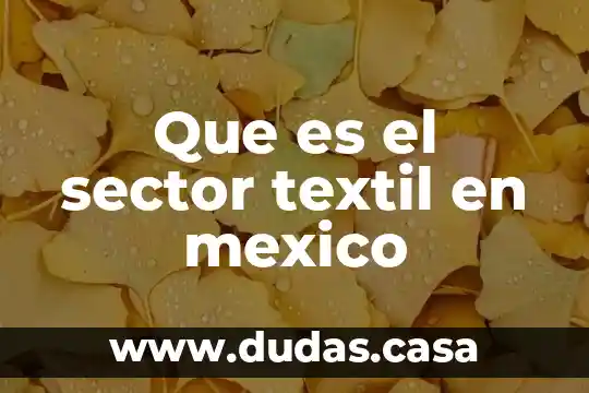 Que es el sector textil en mexico