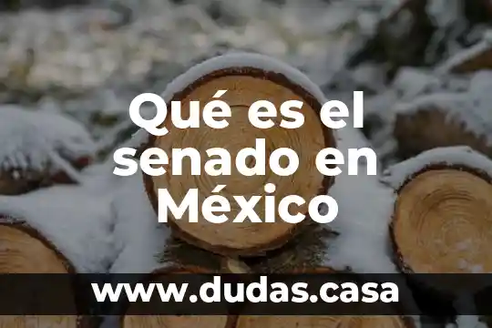 Qué es el senado en México