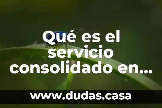 Qué es el servicio consolidado en logística