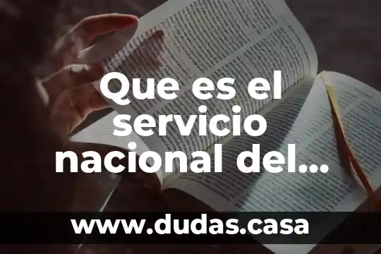 Que es el servicio nacional del empleo