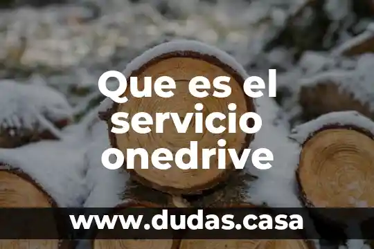 Que es el servicio onedrive
