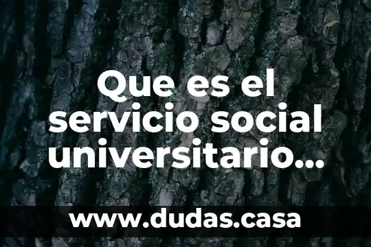 Que es el servicio social universitario uaq