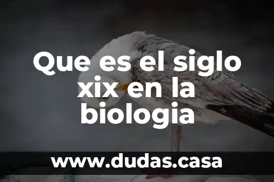 Que es el siglo xix en la biologia