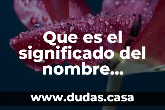 Que es el significado del nombre patricio