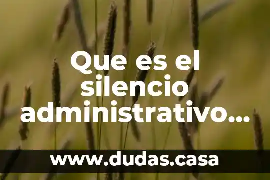 Que es el silencio administrativo slideshare