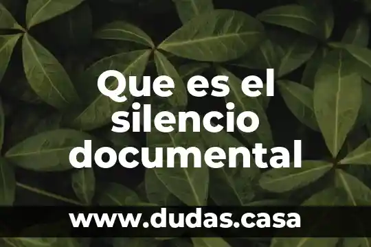 Que es el silencio documental