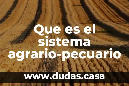 Que es el sistema agrario-pecuario