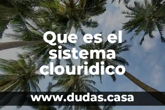 Que es el sistema clouridico