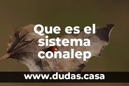Que es el sistema conalep