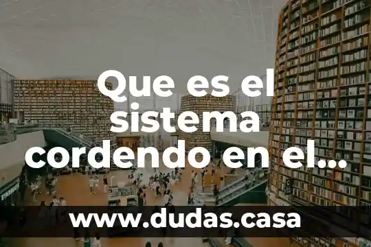 Que es el sistema cordendo en el plano